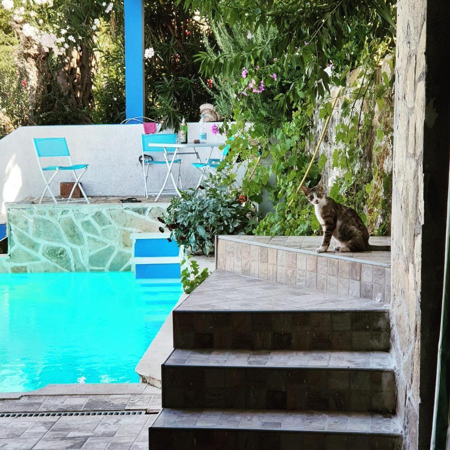 Apartment Bradex Dreams Bečići Exteriör bild